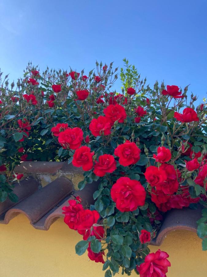 La Rosa del lago Bracciano  Exterior foto