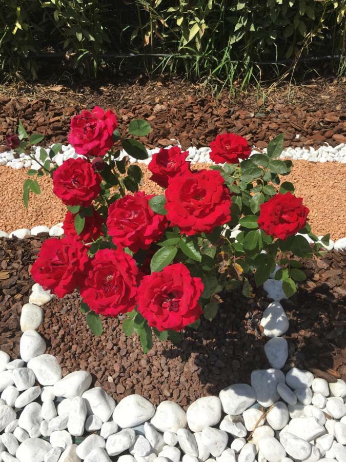 La Rosa del lago Bracciano  Exterior foto